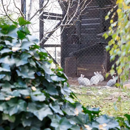 Sunrise Park - Free Wellness Bansko